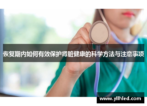 恢复期内如何有效保护肾脏健康的科学方法与注意事项