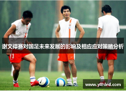 谢文停赛对国足未来发展的影响及相应应对策略分析